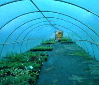 Polytunnel Covers