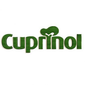 Cuprinol